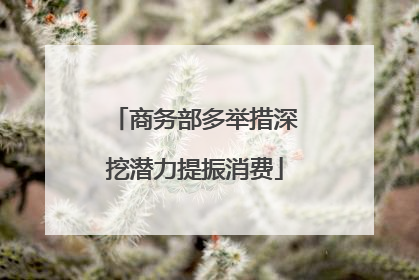商务部多举措深挖潜力提振消费