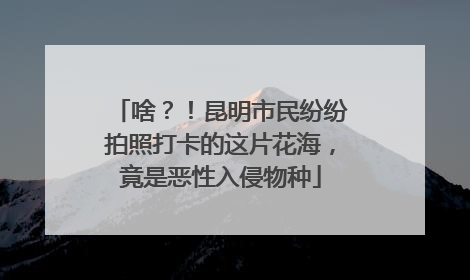 啥？！昆明市民纷纷拍照打卡的这片花海，竟是恶性入侵物种