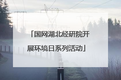 国网湖北经研院开展环境日系列活动