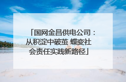 国网金昌供电公司：从积淀中破茧 蝶变社会责任实践新路径