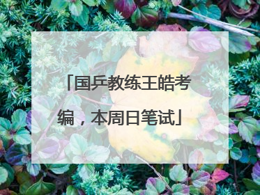国乒教练王皓考编，本周日笔试