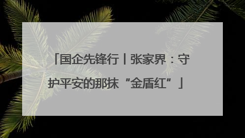 国企先锋行丨张家界：守护平安的那抹“金盾红”