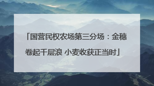 国营民权农场第三分场：金穗卷起千层浪 小麦收获正当时