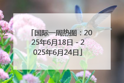 国际一周热图：2025年6月18日－2025年6月24日