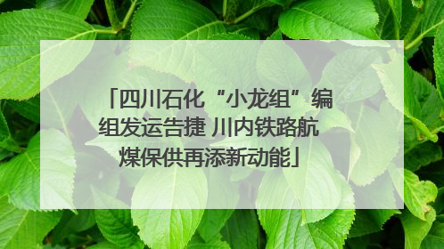 四川石化“小龙组”编组发运告捷 川内铁路航煤保供再添新动能