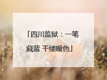 四川监狱：一笔藏蓝 千缕暖色
