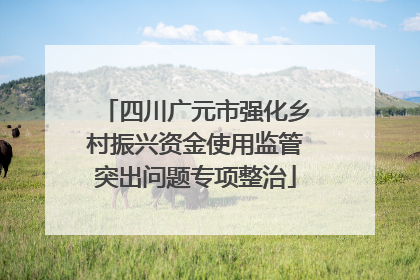 四川广元市强化乡村振兴资金使用监管突出问题专项整治