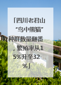 四川老君山“鸟中熊猫”种群数量翻番，繁殖率从15%升至32%