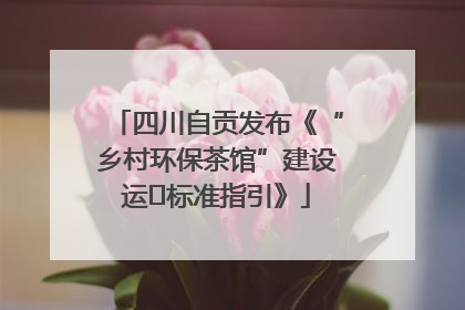 四川自贡发布《“乡村环保茶馆”建设运⾏标准指引》
