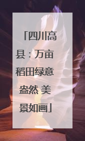 四川高县：万亩稻田绿意盎然 美景如画
