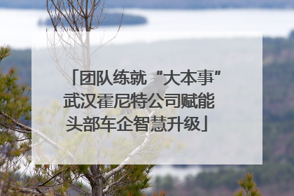 团队练就“大本事” 武汉霍尼特公司赋能头部车企智慧升级