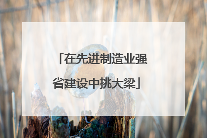 在先进制造业强省建设中挑大梁