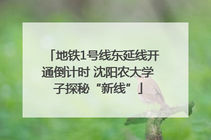 地铁1号线东延线开通倒计时 沈阳农大学子探秘“新线”