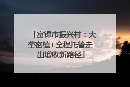 富锦市振兴村：大垄密植+全程托管走出增收新路径