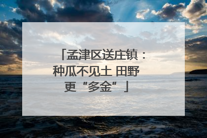 孟津区送庄镇：种瓜不见土 田野更“多金”