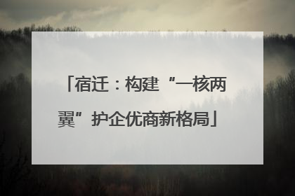 宿迁：构建“一核两翼”护企优商新格局