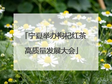 宁夏举办枸杞红茶高质量发展大会