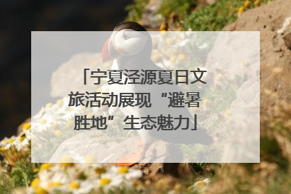 宁夏泾源夏日文旅活动展现“避暑胜地”生态魅力