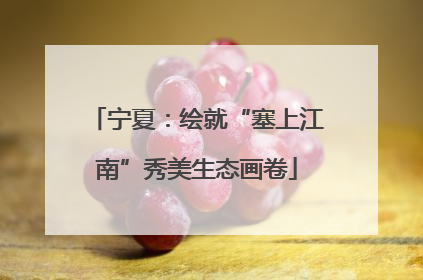 宁夏：绘就“塞上江南”秀美生态画卷