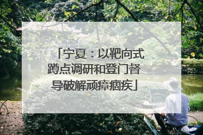 宁夏：以靶向式蹲点调研和登门督导破解顽瘴痼疾