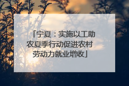 宁夏：实施以工助农夏季行动促进农村劳动力就业增收