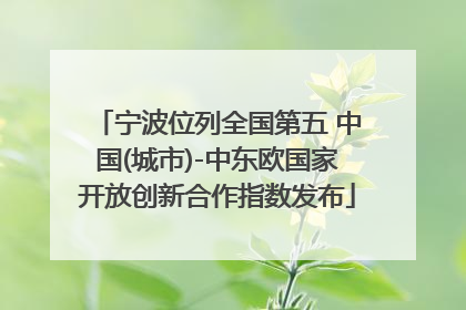 宁波位列全国第五 中国(城市)-中东欧国家开放创新合作指数发布