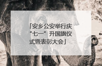 安乡公安举行庆“七一”升国旗仪式暨表彰大会