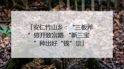 安仁竹山乡：“三板斧”劈开致富路 “新三宝”种出好“钱”景