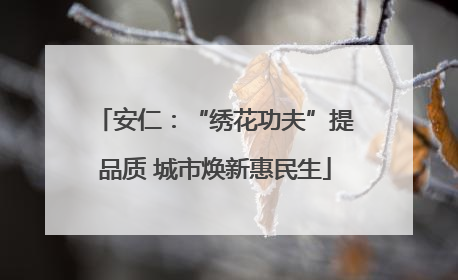 安仁：“绣花功夫”提品质 城市焕新惠民生