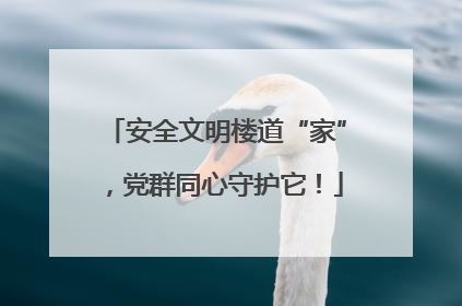 安全文明楼道“家”，党群同心守护它！
