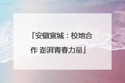 安徽宣城：校地合作 澎湃青春力量