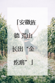 安徽旌德 荒山长出“金疙瘩”