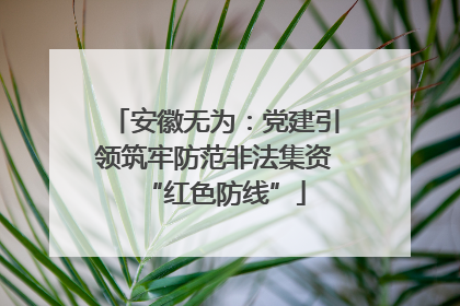 安徽无为：党建引领筑牢防范非法集资“红色防线”