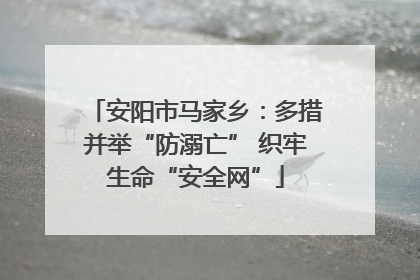 安阳市马家乡：多措并举“防溺亡” 织牢生命“安全网”