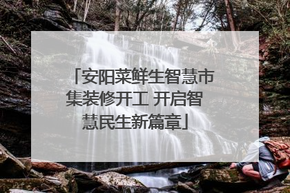 安阳菜鲜生智慧市集装修开工 开启智慧民生新篇章