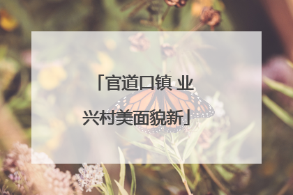 官道口镇 业兴村美面貌新