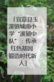 宜章县玉溪镇城南小学“溪韧中队”：传承红色基因 锻造时代新人