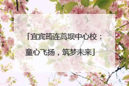 宜宾筠连蒿坝中心校：童心飞扬，筑梦未来