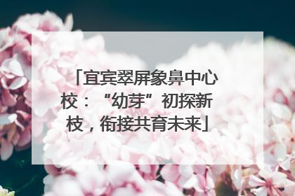 宜宾翠屏象鼻中心校：“幼芽”初探新枝，衔接共育未来