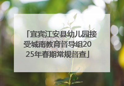 宜宾江安县幼儿园接受城南教育督导组2025年春期常规督查