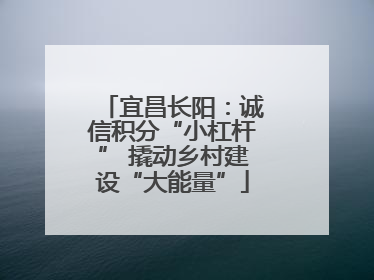 宜昌长阳：诚信积分“小杠杆” 撬动乡村建设“大能量”
