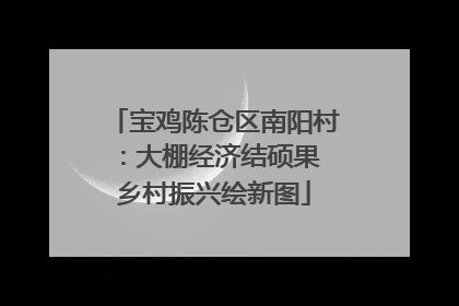 宝鸡陈仓区南阳村：大棚经济结硕果 乡村振兴绘新图