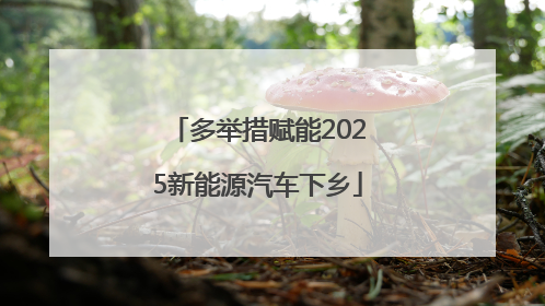 多举措赋能2025新能源汽车下乡