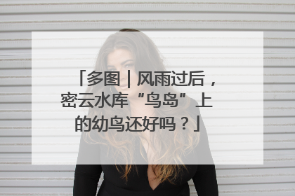 多图｜风雨过后，密云水库“鸟岛”上的幼鸟还好吗？