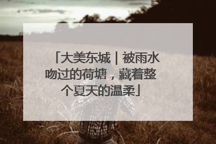 大美东城｜被雨水吻过的荷塘，藏着整个夏天的温柔