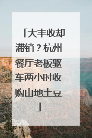 大丰收却滞销？杭州餐厅老板驱车两小时收购山地土豆