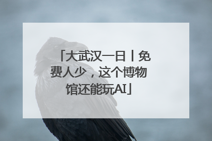 大武汉一日丨免费人少，这个博物馆还能玩AI