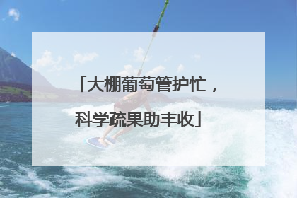 大棚葡萄管护忙，科学疏果助丰收