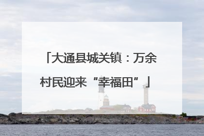 大通县城关镇：万余村民迎来“幸福田”