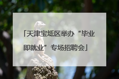 天津宝坻区举办“毕业即就业”专场招聘会